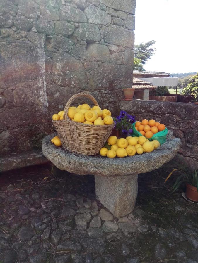 Casa Do Balcao Guest House Alcains Екстериор снимка