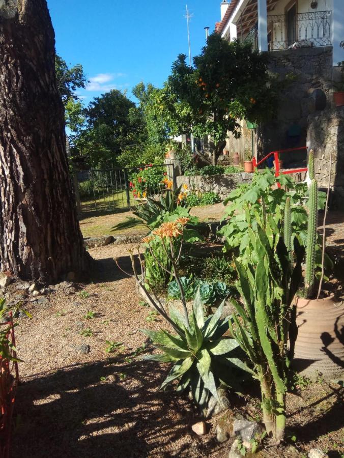 Casa Do Balcao Guest House Alcains Екстериор снимка